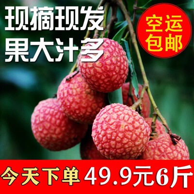 荔枝新鲜包邮高州白糖罂现摘现发笑妃子科技一号水果当季整箱6斤