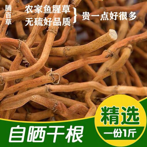 当年新货鱼腥草无添加吃着更放心