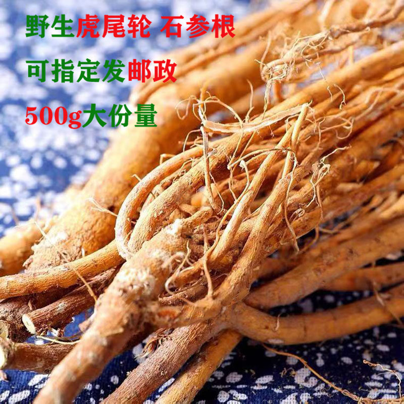 野生虎尾轮石参根黄瓜参狐狸尾猫尾福建云水谣虎尾轮煲汤炖鸡食材