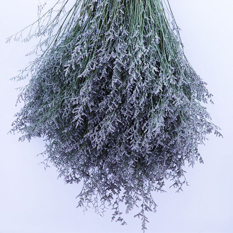 干花花束家居摆设客厅卧室云南情人草水晶草插花干花论斤卖500g