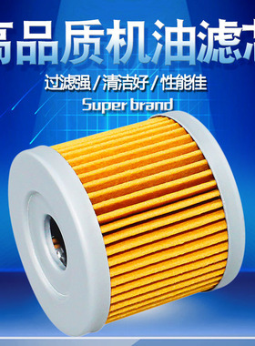 Cyleto适配北极猫DVX400 CCM404川崎KFX400 KLX400SR机油滤芯机滤