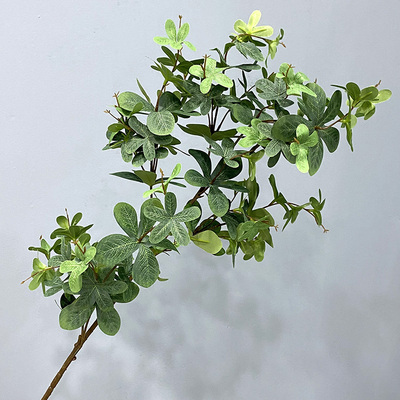 植物子规榕树叶搭配客厅落地