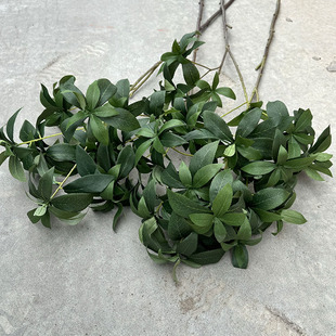 月桂叶单支葵叶龟背叶阳台塑料假叶玄关家居装饰树枝仿真麻醉木