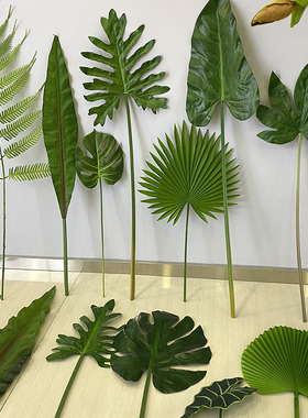 仿真龟背叶春雨叶鸟巢叶北欧风格插花装饰绿色植物墙森系花艺道具