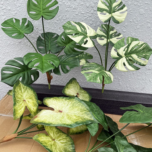 高仿真植物龟背叶彩芋叶绿植