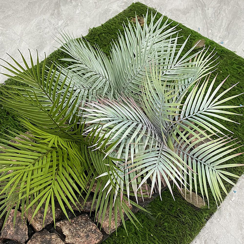 高品质散尾葵仿真植物绿植