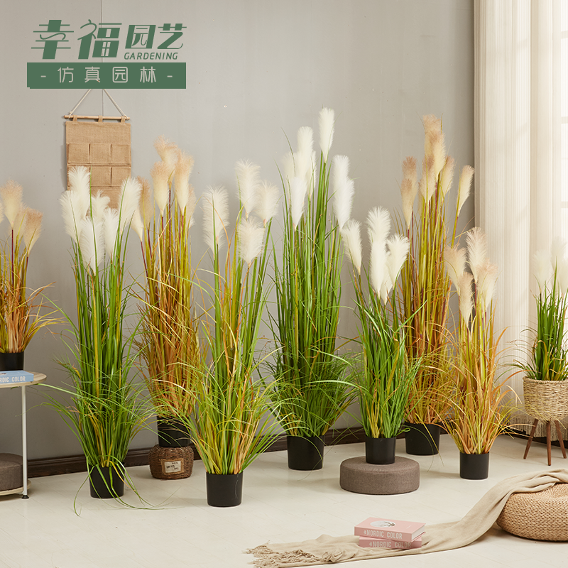仿真芦苇盆栽干花假花道具狗尾草水生植物蒲苇装饰落地北欧绿植