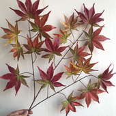 饰树叶彩色枫叶绢布装 仿真红枫叶假秋季 装 饰叶子树枝植物树定制