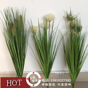 橱窗装饰狗尾草假草 芦苇草干草草丛布景装饰毛毛草稻谷草 长草
