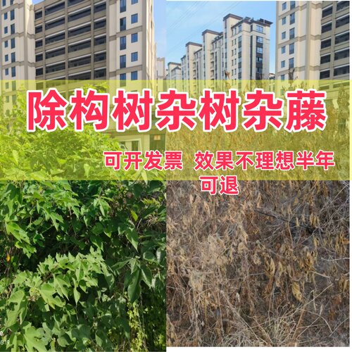 除构树楮实子假杨梅酸枣荆条葛藤拉拉秧杂灌木杂藤类草药剂除草剂