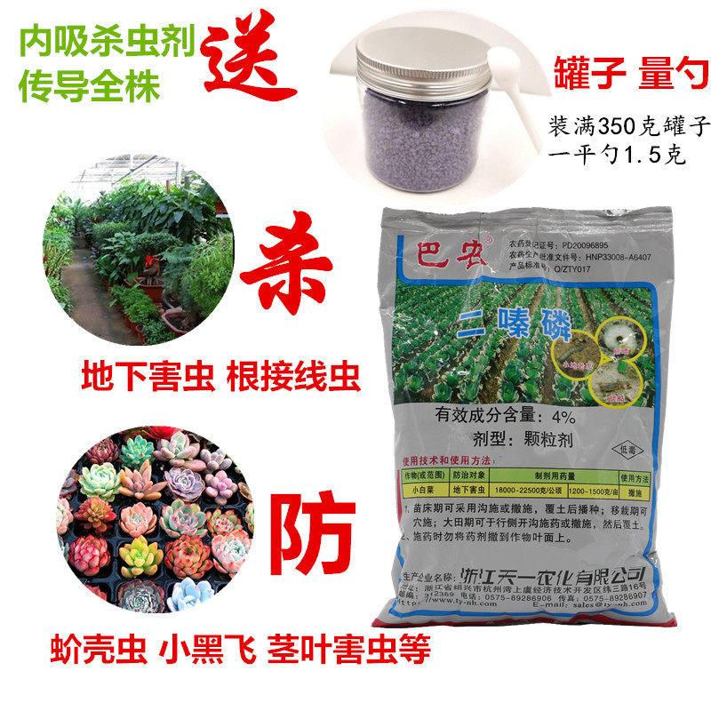 多肉根粉蚧小紫药花卉果树地下害虫土虫丹土壤杀虫根结线虫杀虫剂
