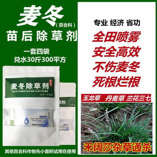 麦冬专用除草剂玉龙草兰花三七沿阶草防除杂草阔叶圆叶除草药杂草