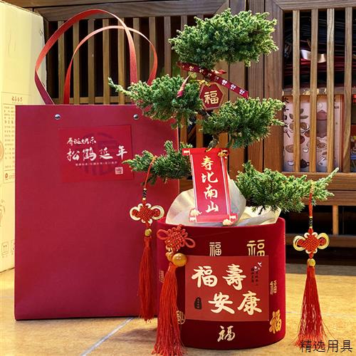 五层塔松盆栽送老人祝寿绿植盆景真室内松鹤延年植物开业生日礼物