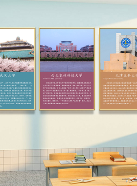 中国名校简介挂画清华北大985211大学励志目标墙贴教室墙面装饰画