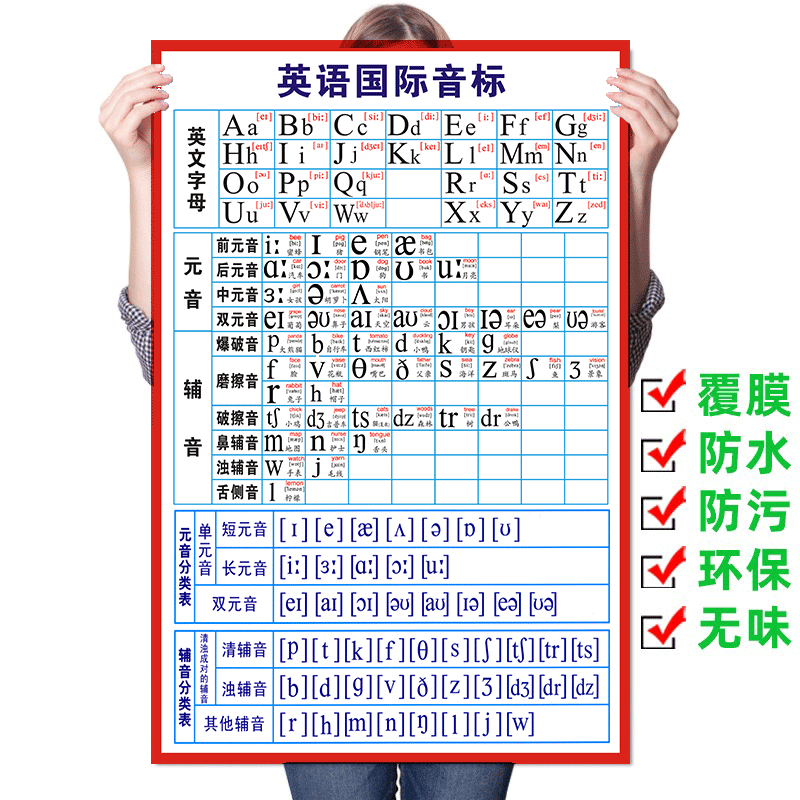 国际音标墙贴英语字母表