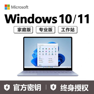 正版windows11系统win10专业版win11纯净版电脑系统远程安装服务