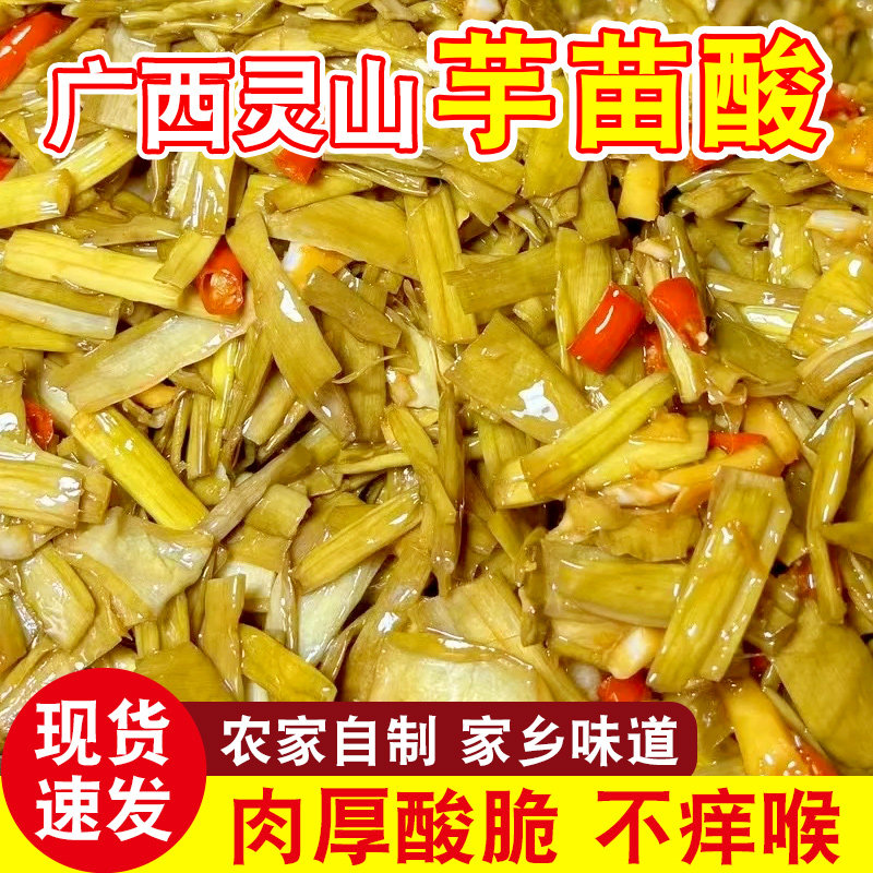 广西特产芋苗酸新鲜腌制蔬菜下饭菜芋蒙酸菜酱泡菜芋苗干梗咸菜