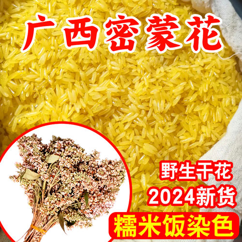 广西南宁密蒙花糯米饭植物染色