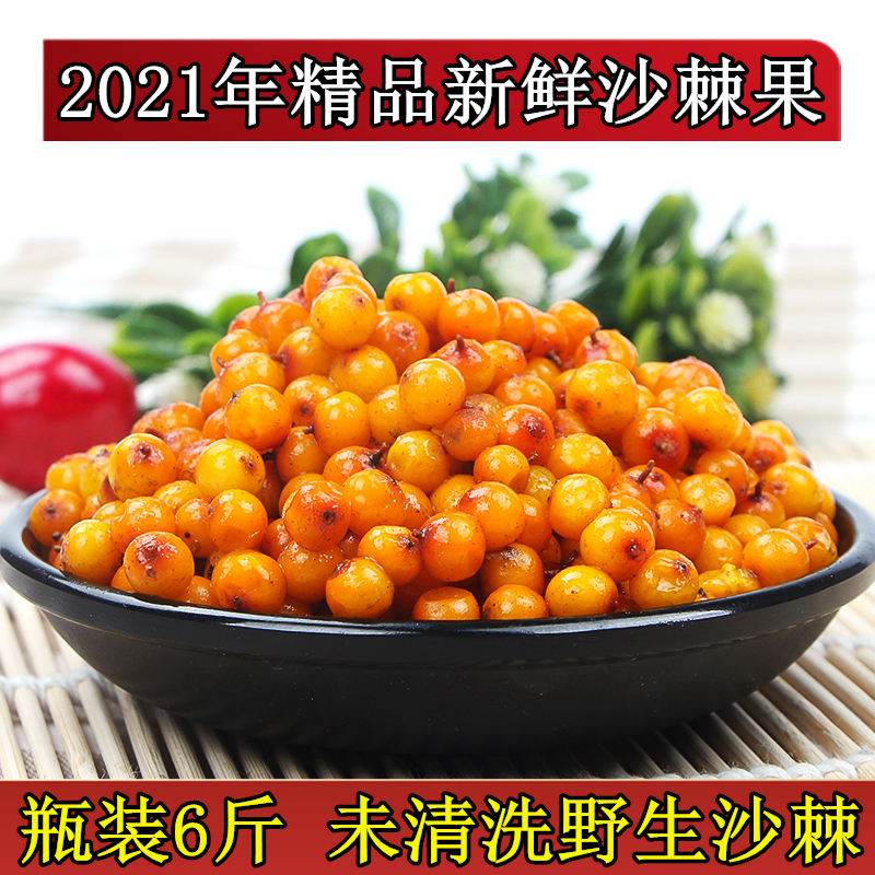 沙棘果新鲜鲜果6斤包邮山西吕梁特产纯天然野生正品沙棘酵素榨汁
