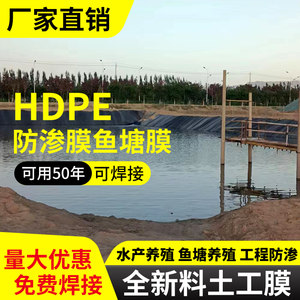 鱼塘防渗膜土工膜加厚耐用抗老化