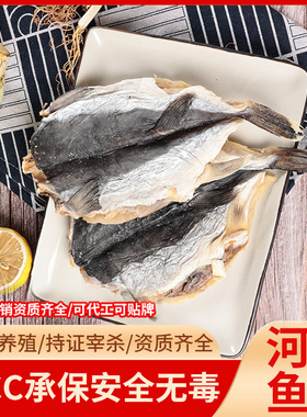 人工养殖河豚鱼干500g食用晒干生鲜淡水鱼咸鱼干货农副产品乌狼鲞
