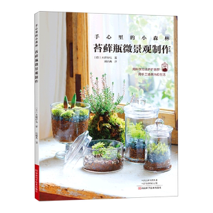 手心里的小森林(苔藓瓶微景观制作)