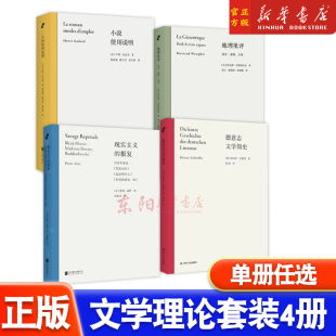 正版 文学理论套装4册:地理批评+现实主义的报复+小说使用说明+德意志文学简史 文学理论文学研究类作品文学史