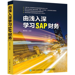 由浅入深学习SAP财务