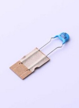 DCH101K22YR N6FK5C8 直插瓷片电容 100pF ±10% 1kV 插件,P=5mm