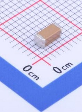 FK08X102K502EFQ 安规电容 1nF ±10% 等级:X1,Y2 1808