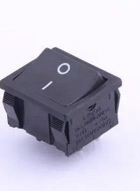 SS24-BBIWS-R40-R 跷板开关DPST 21x24mm 插件,24x21mm 船型开关