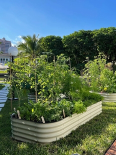 楼顶种植花盆蔬菜种植箱框户外庭院花园阳台圆形一米菜园金属菜床