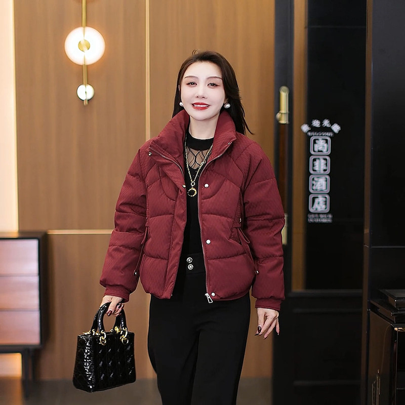 短款立领保暖修身型长袖棉衣棉服百搭冬装女士外套2025冬季洋气