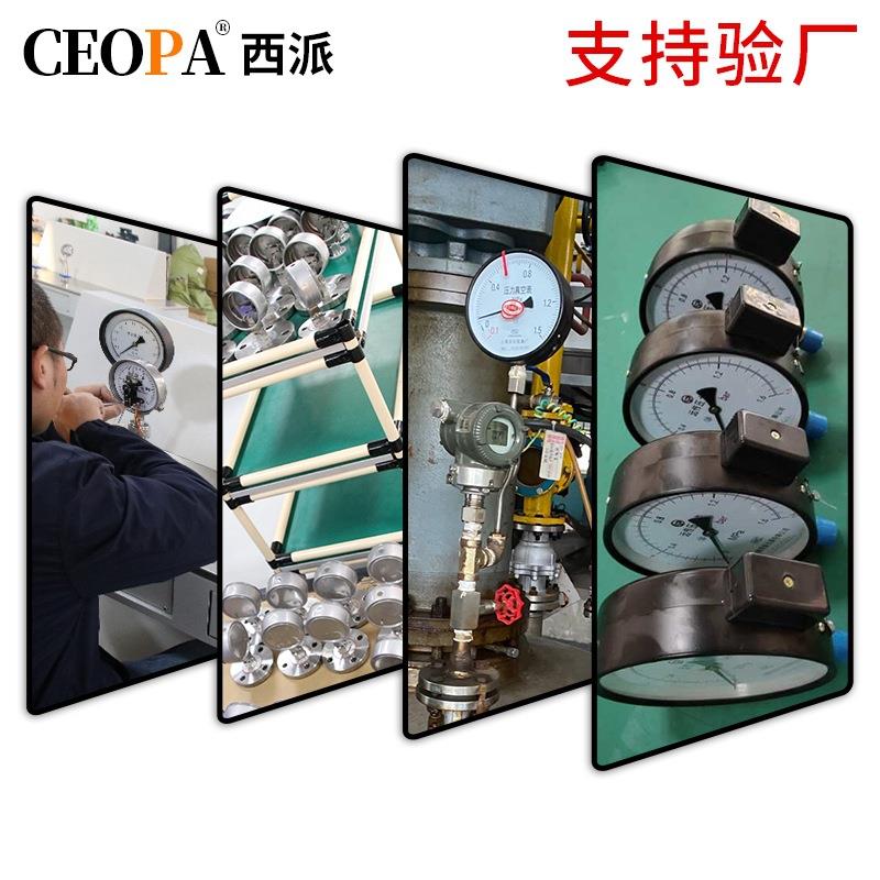 电阻远传压力表恒压供水变频器全规格真空防腐远程不锈钢压力表