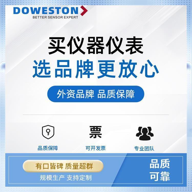 高精度齿轮流量计 道威斯顿 抗振动设计 便捷安装