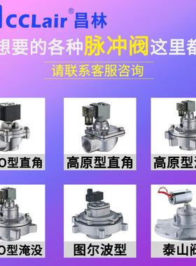 LPDA20直角LPDC25淹没式40防爆LPDD50除尘65外螺母80脉冲阀C/A/B