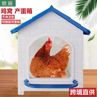 鸡舍用塑料产蛋箱产蛋窝chicken nesting box 新品鸡窝鸡笼
