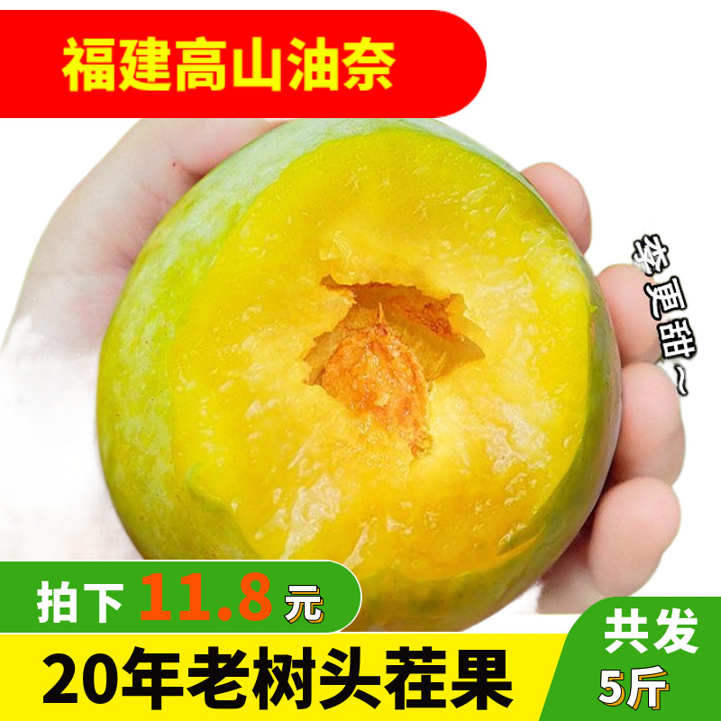 油奈李新鲜特大果现摘5古田青奈福建脆李子蜂糖脱骨李整箱包邮10