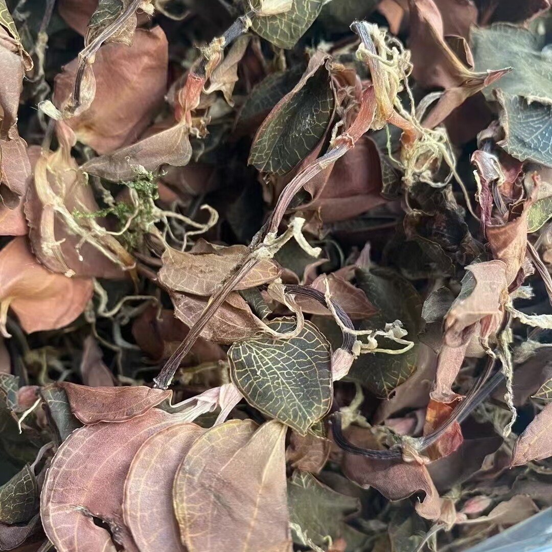 干品正宗福建林下种植金线莲仿野生新鲜晒干净重包邮