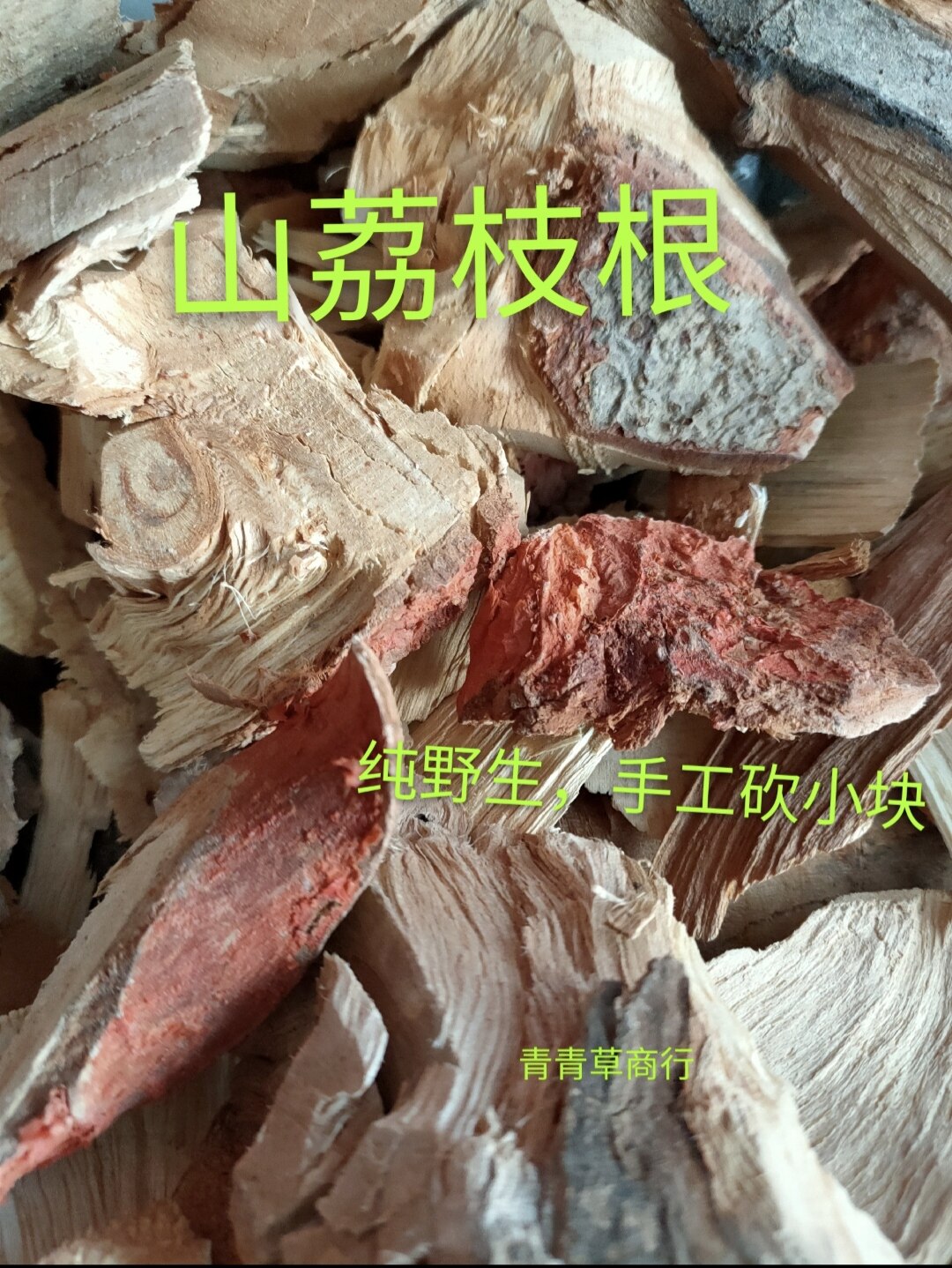 红皮山荔枝根野生山荔枝根福建红荔枝根脱壳根红蛇根荔枝根柘刺根