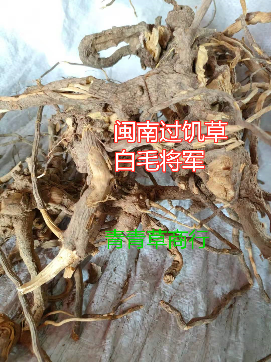 福建毛将军野生过饥草乌根土丁桂山白芷羊耳菊祛辛苦草炖汤包邮