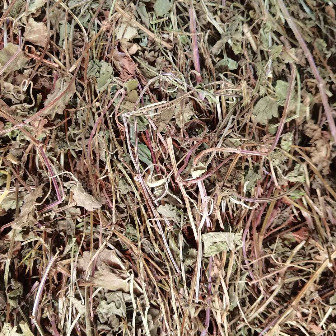 金钱草连钱草野生金钱薄荷落地金钱铜钱草化结石农产品500克包邮