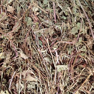 金钱草连钱草野生金钱薄荷落地金钱铜钱草化结石农产品500克包邮