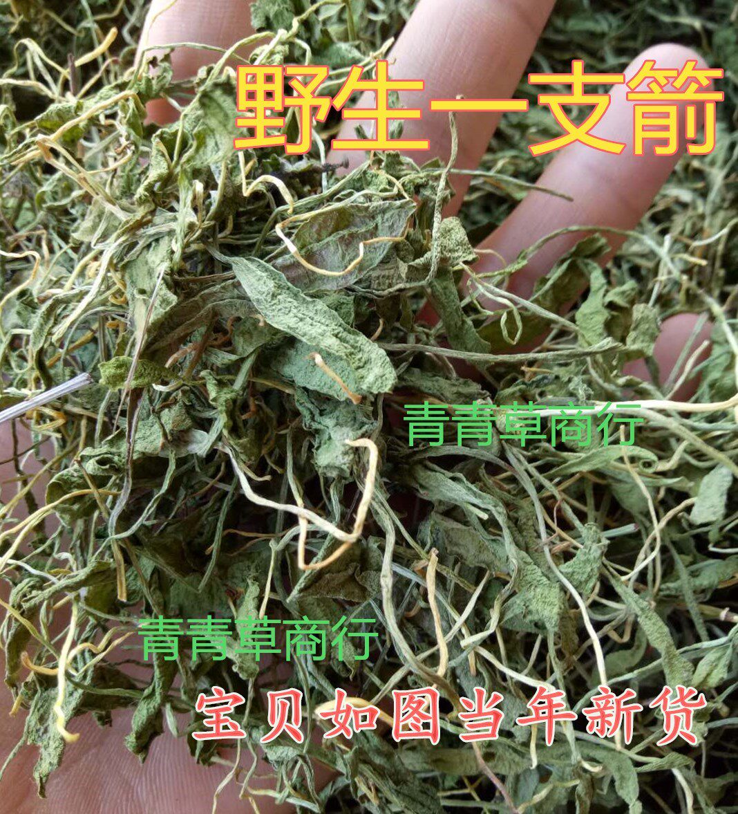 野生一枝箭 一支箭 瓶尔小草 青藤 蛇咬子 蛇草 250g包邮