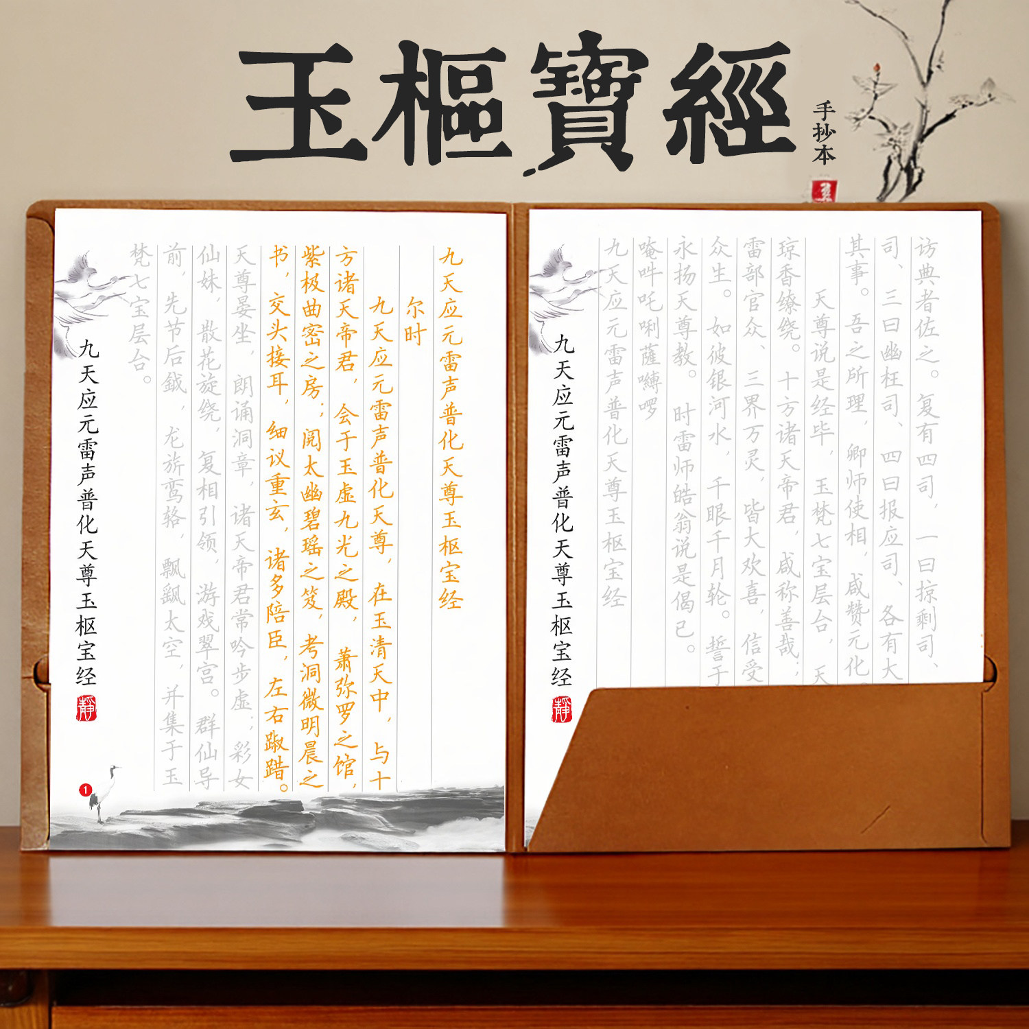 玉枢宝经抄写本成人描红字帖硬笔楷书九天应元雷声普化天尊全文