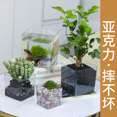 透明方形花盆水培绿植郁金香多肉花瓶方缸器皿摆件仿玻璃亚克力小