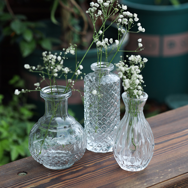 法式复古玻璃小花瓶透明摆件客厅插花水养迷你桌面花器网红ins风