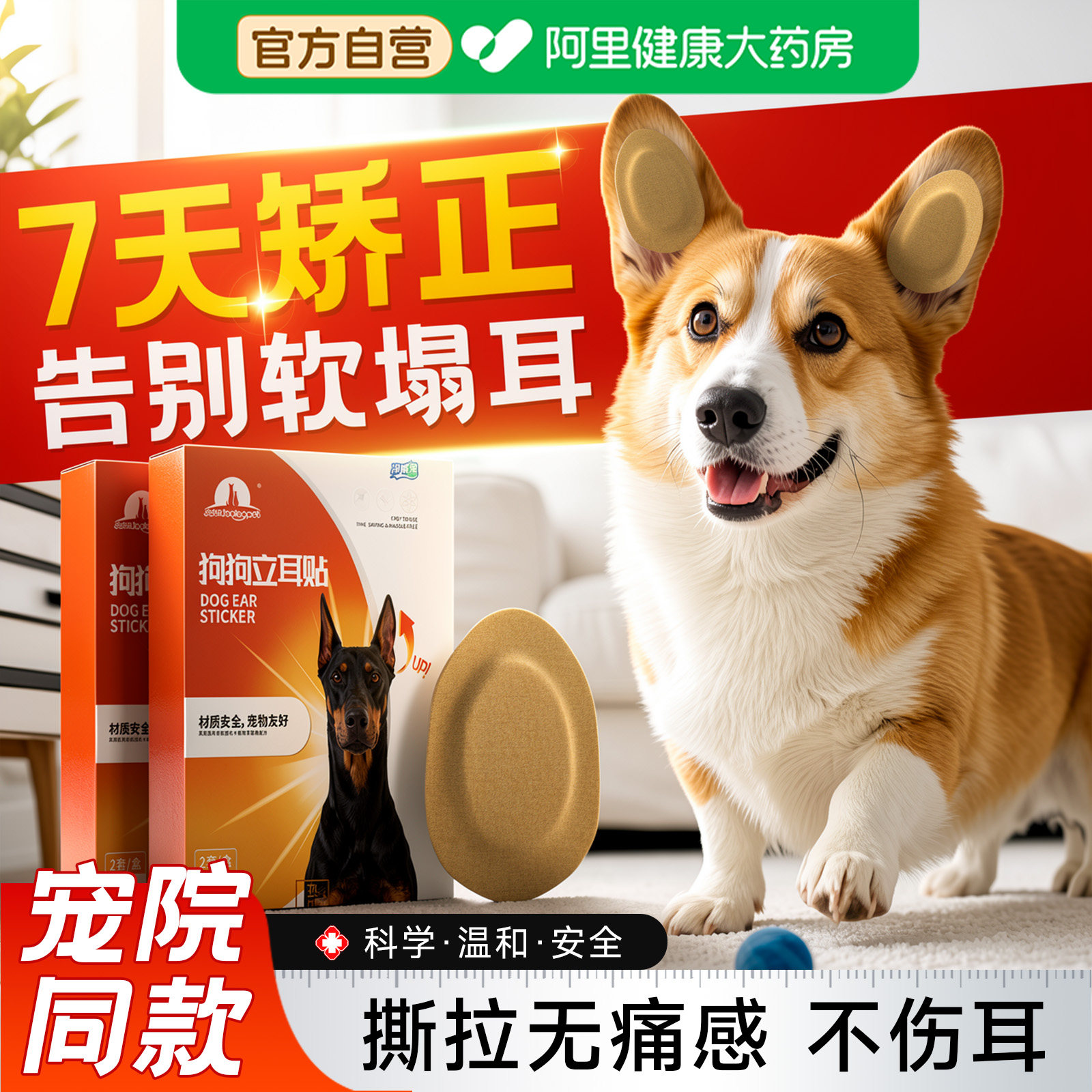 西高地立耳贴小狗狗立耳神器宠物幼犬耳朵辅助固定器矫正竖耳支架