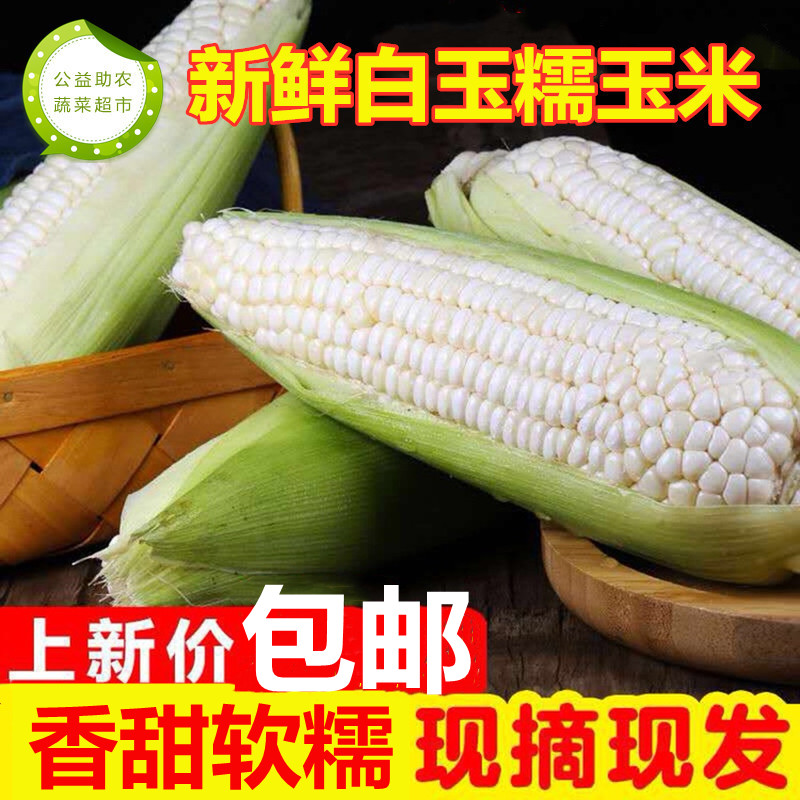 助农白玉糯玉米新鲜5斤10斤农家自种现摘黏甜棒子白苞米蔬菜3包邮