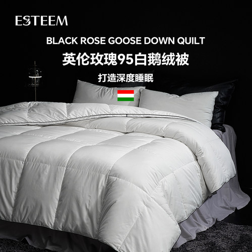 Esteem宜庭匈牙利95白鹅绒羽绒被